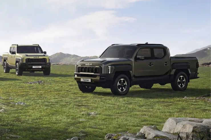 Pickup de segunda mano en el campo